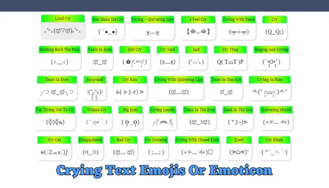 Crying Text Emojis Or Emoticon